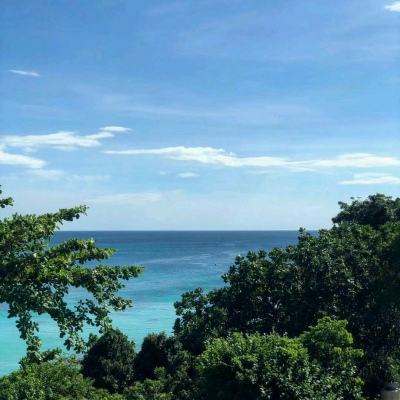 亮剑手游官方正版下载